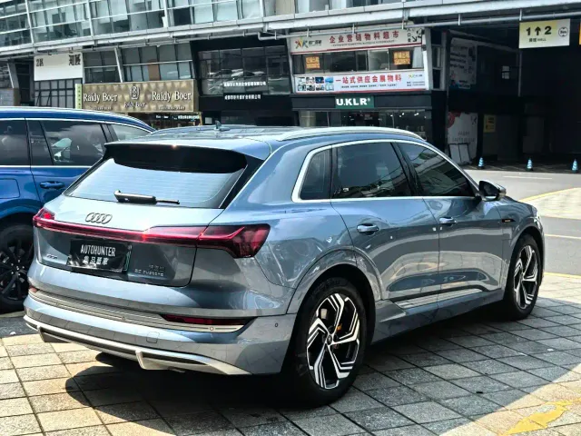 Audi Audi e-tron 2021 50 quattro Exclusive Selection — Фото автомобиля 5