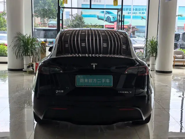 Tesla Model Y — Фото автомобиля 9