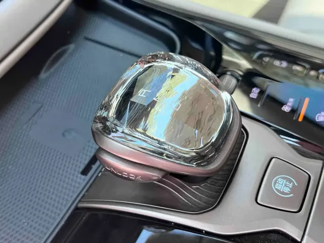 Denza Denza D9 2022 DM-i 1040 Premium — Фото автомобиля 8