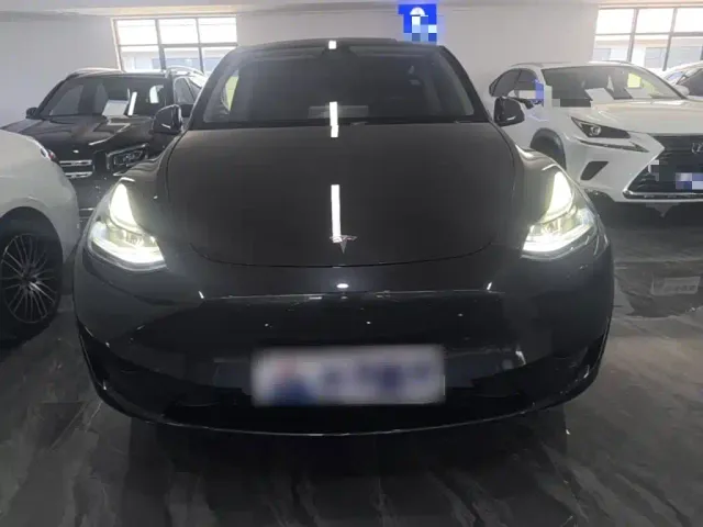 Tesla Model Y — Фото автомобиля 2