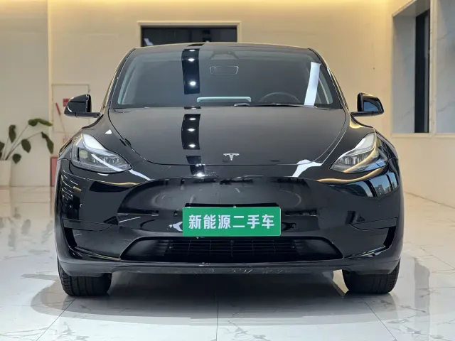 Tesla Model Y — Фото автомобиля 2