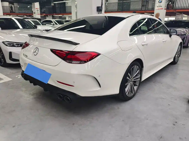 Mercedes-Benz CLS-Class — Фото автомобиля 10