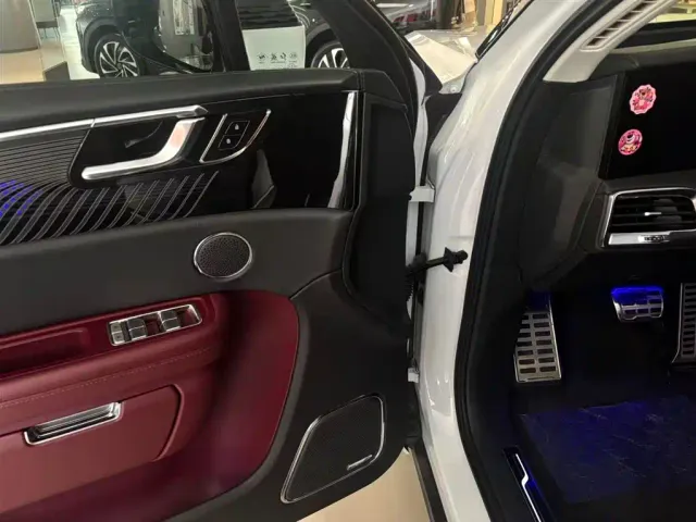 Hongqi E-HS9 — Фото автомобиля 5