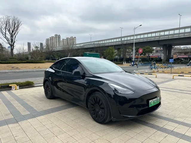 Tesla Model Y — Фото автомобиля 2