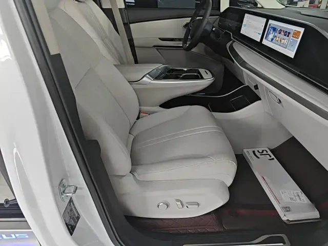 Maxus Dajia 9 — Фото автомобиля 23