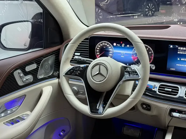 Mercedes-Benz Maybach GLS — Фото автомобиля 8