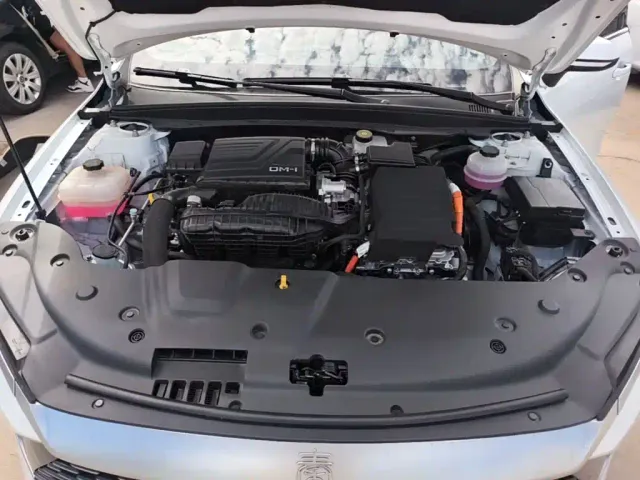 BYD Qin PLUS — Фото автомобиля 19