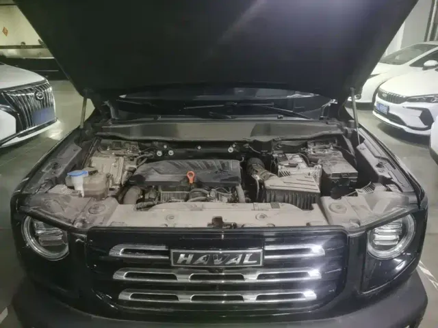 Haval Big Dog — Фото автомобиля 19