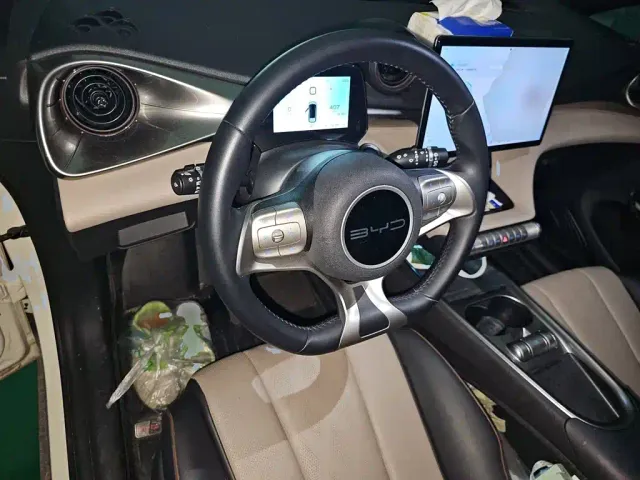 BYD Dolphin — Фото автомобиля 6