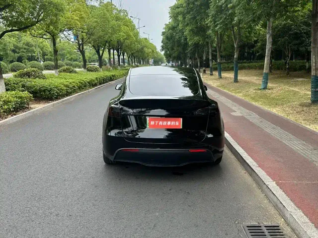 Tesla Model Y — Фото автомобиля 11
