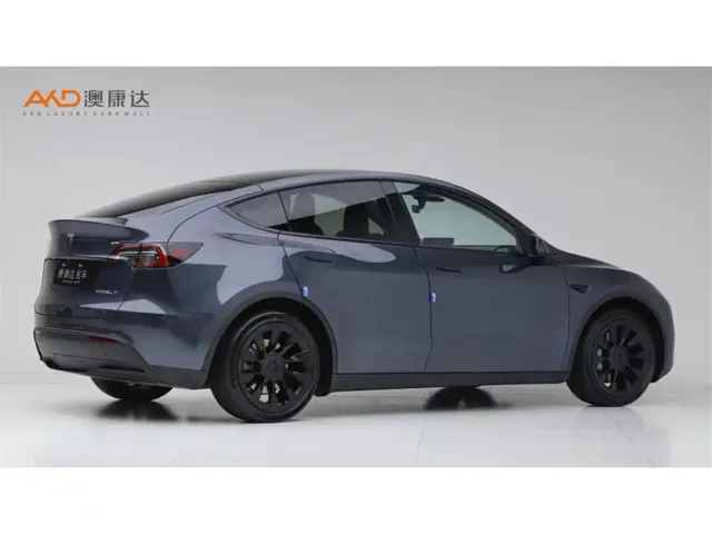 Tesla Model Y — Фото автомобиля 3