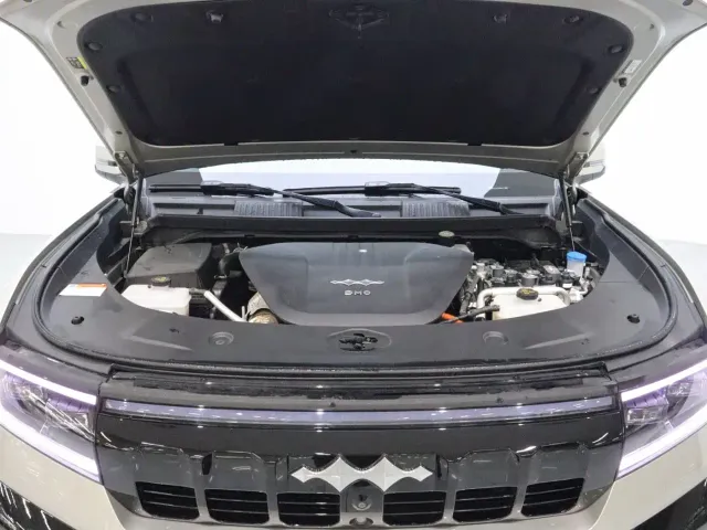 BYD FangChengBao Leopard 8 — Фото автомобиля 20
