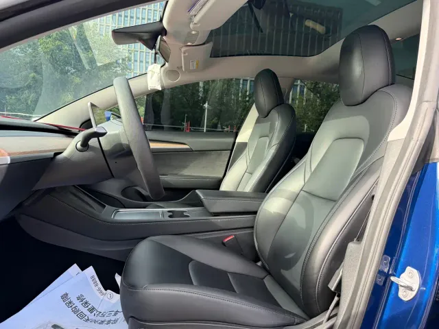 Tesla Model 3 — Фото автомобиля 12