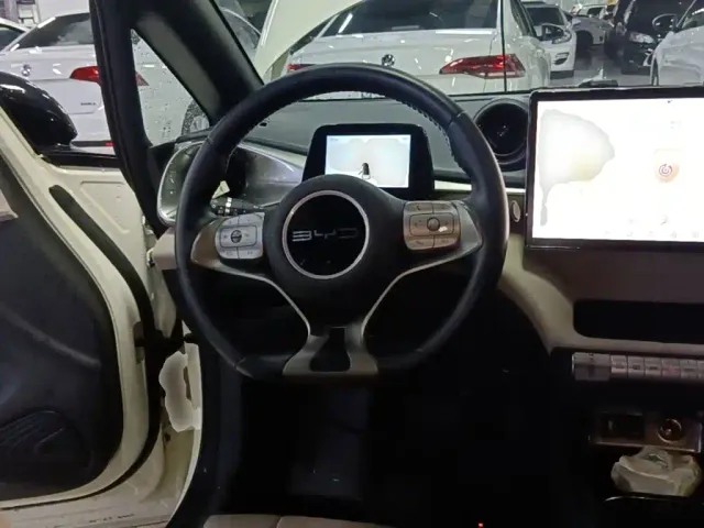 BYD Dolphin — Фото автомобиля 10