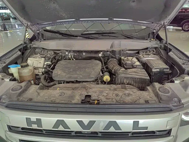 Haval Big Dog — Фото автомобиля 19