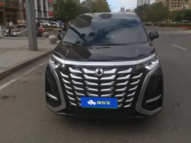 Denza D9 — Фото автомобиля 2