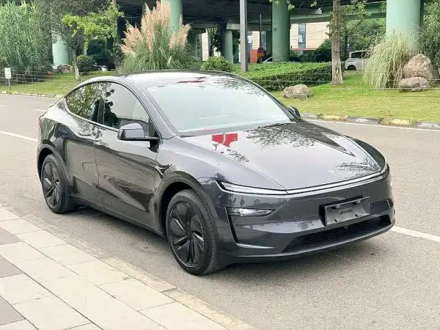 Tesla Model Y — Фото автомобиля 3