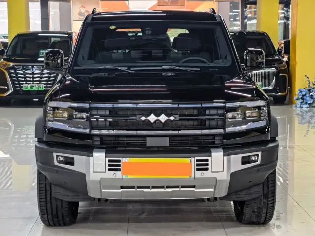 BYD FangChengBao Leopard 5 — Фото автомобиля 2