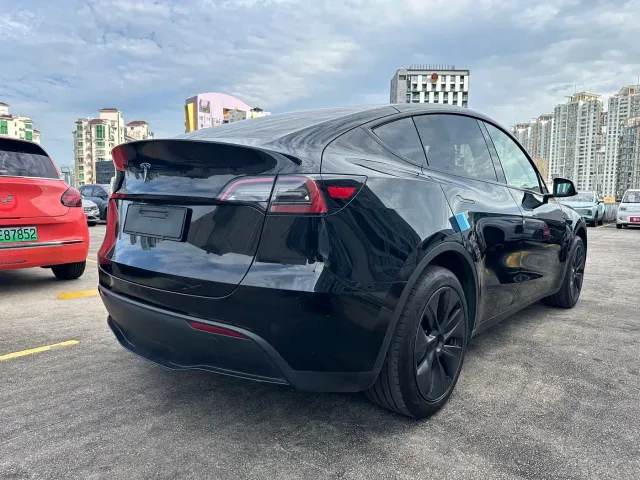 Tesla Model Y — Фото автомобиля 10