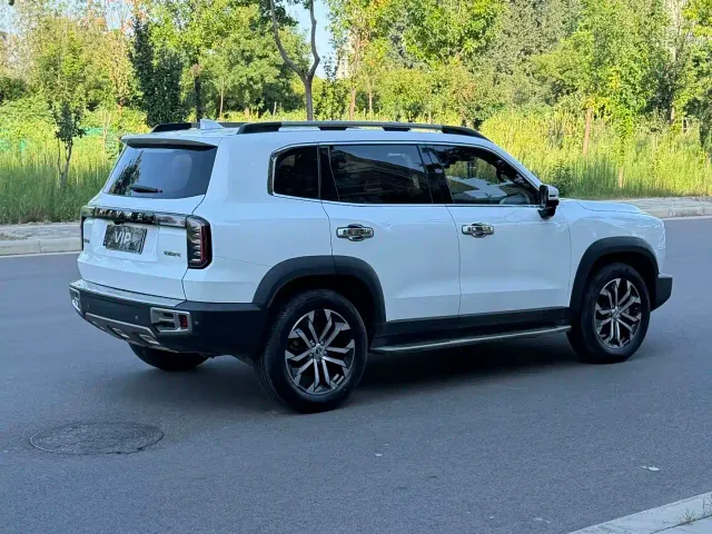 Haval Haval Big Dog 2021 1.5T DCT 2WD Border Collie - Wangcai Edition — Фото автомобиля 6