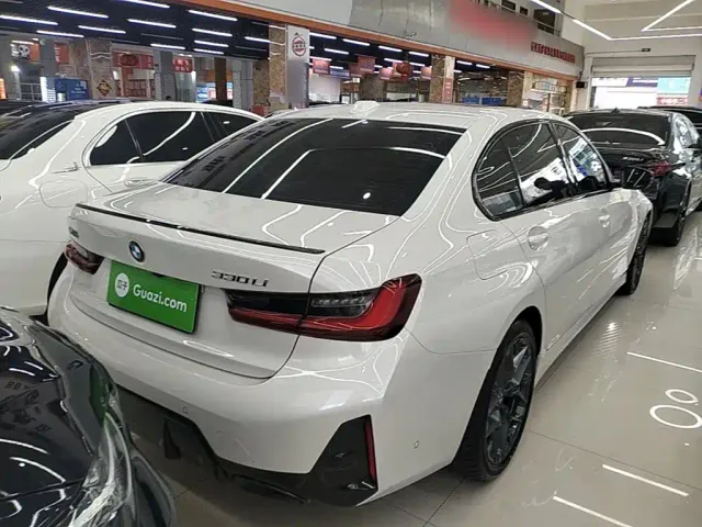 BMW 3 Series — Фото автомобиля 6