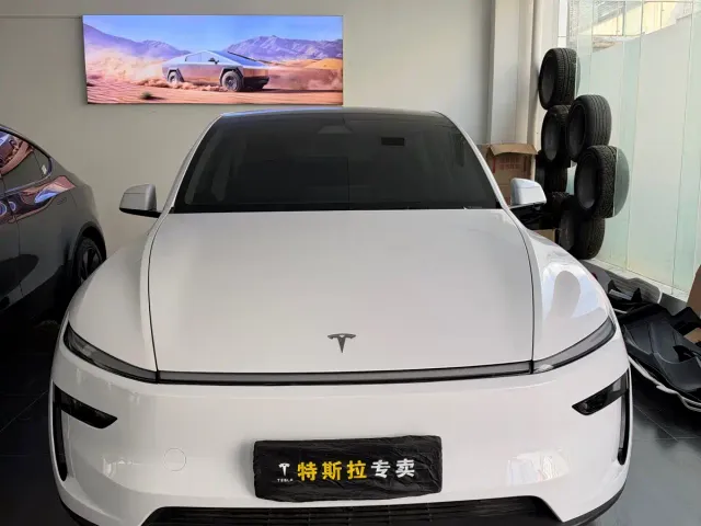 Tesla Model Y — Фото автомобиля 2