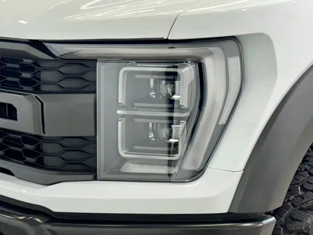 Ford F-150 Raptor — Фото автомобиля 8