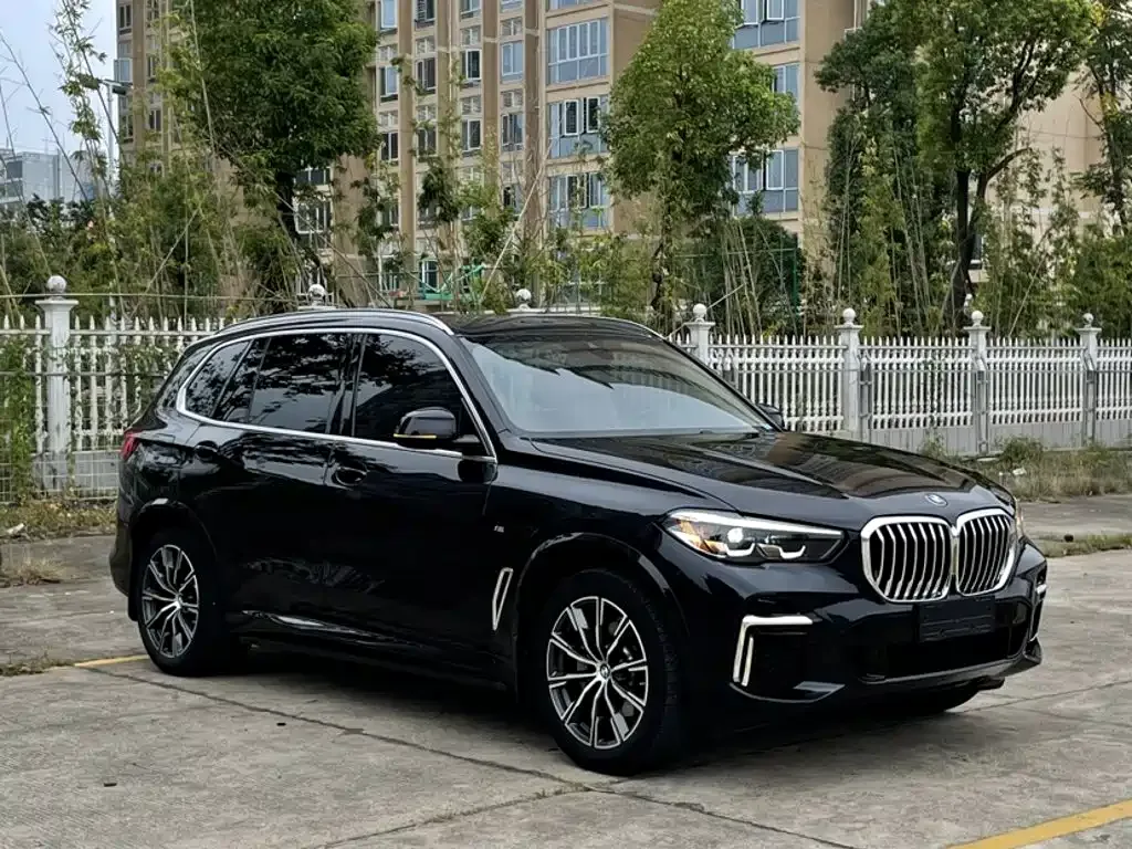 BMW BMW X5 2022 Facelift xDrive 30Li M Sport Package — Фото автомобиля 9
