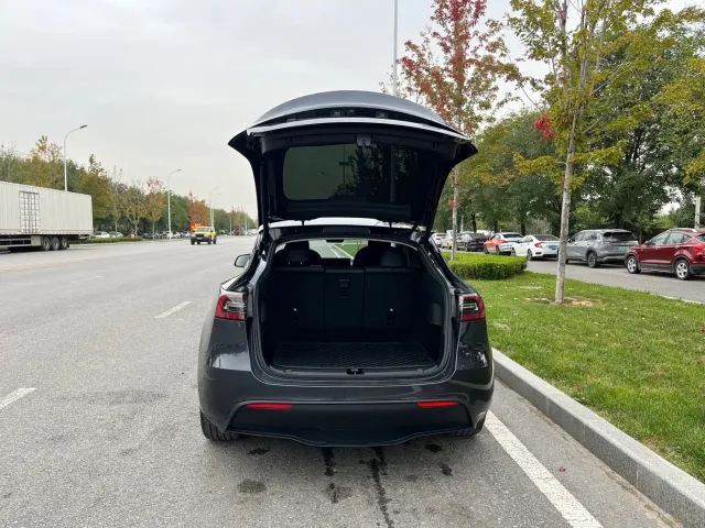 Tesla Model Y — Фото автомобиля 20