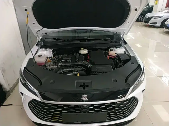 BYD Qin PLUS — Фото автомобиля 19