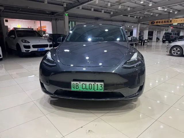 Tesla Model Y — Фото автомобиля 2