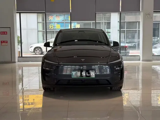 Tesla Model Y — Фото автомобиля 2