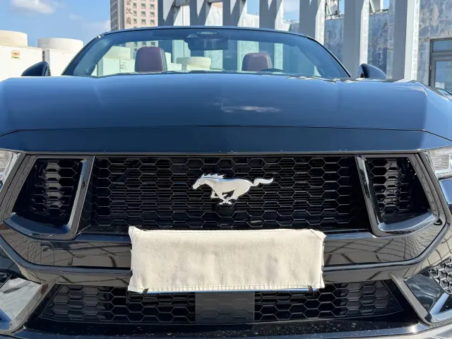 Ford Mustang — Фото автомобиля 19