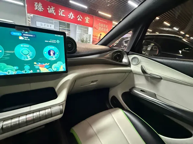 BYD Dolphin — Фото автомобиля 9