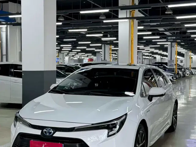 Фотография автомобиля — Toyota Levin