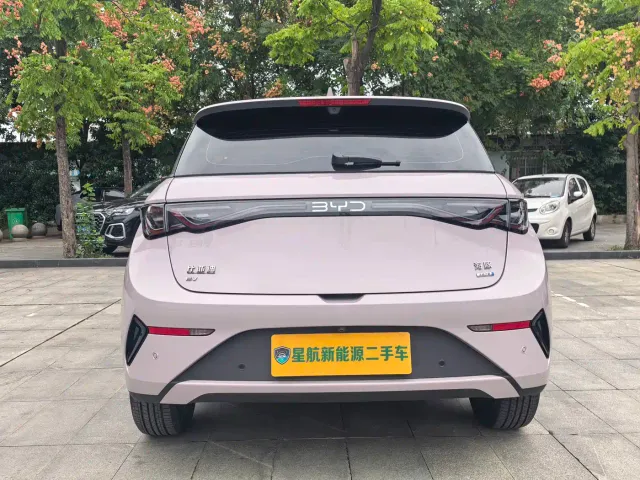 BYD Dolphin — Фото автомобиля 16