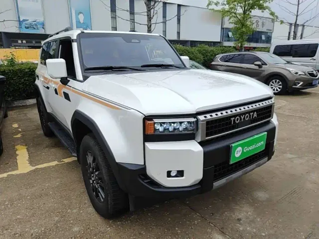 Toyota Prado — Фото автомобиля 21