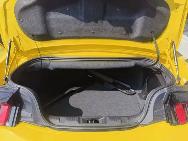 Ford Mustang — Фото автомобиля 5