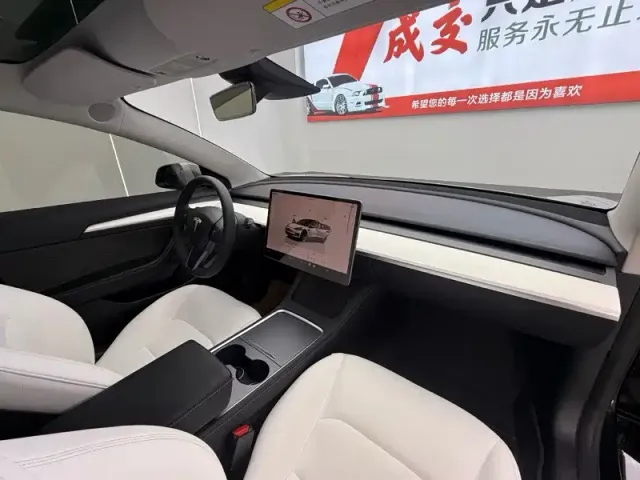 Tesla Model 3 — Фото автомобиля 9
