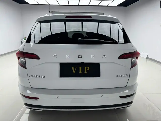 Skoda Karoq — Фото автомобиля 5