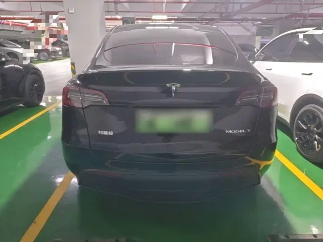 Tesla Model Y — Фото автомобиля 5