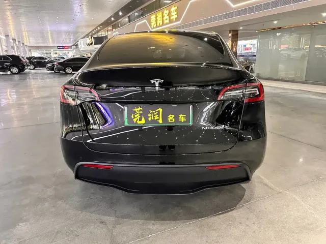 Tesla Model Y — Фото автомобиля 16