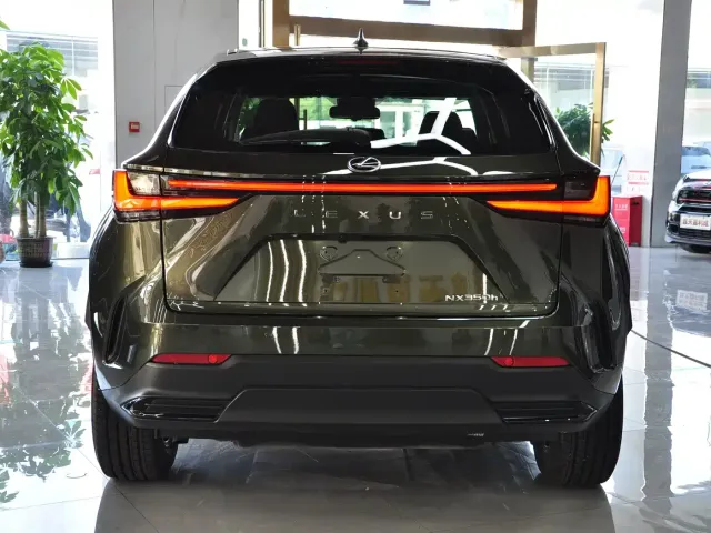 Lexus NX — Фото автомобиля 5