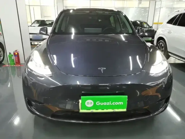 Tesla Model Y — Фото автомобиля 2