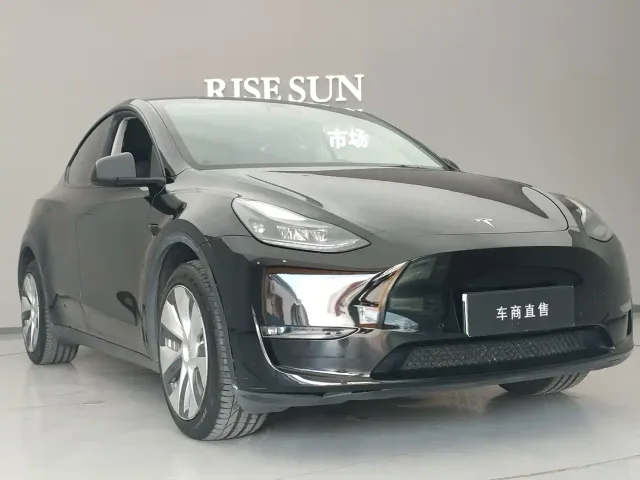 Tesla Model Y — Фото автомобиля 3