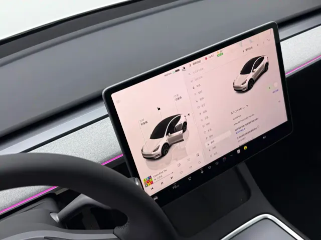 Tesla Model Y — Фото автомобиля 11