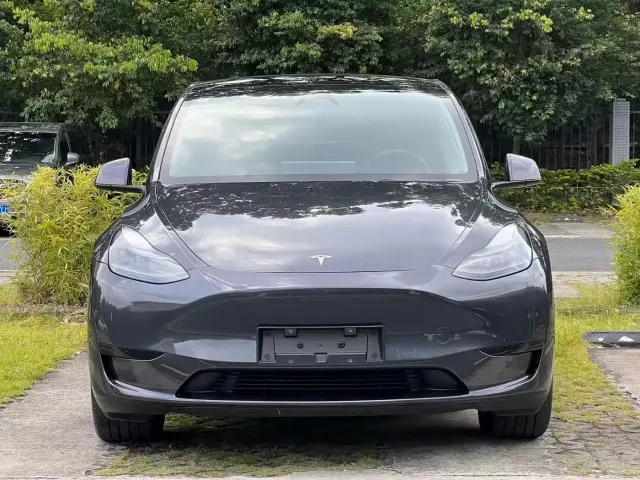 Tesla Model Y — Фото автомобиля 2