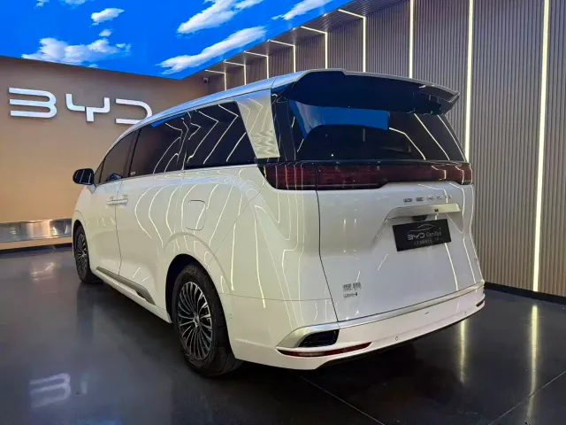 Denza D9 — Фото автомобиля 19