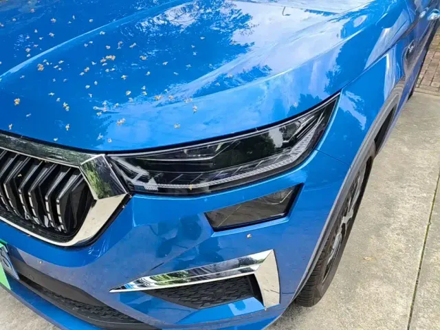 Skoda Kodiaq — Фото автомобиля 23