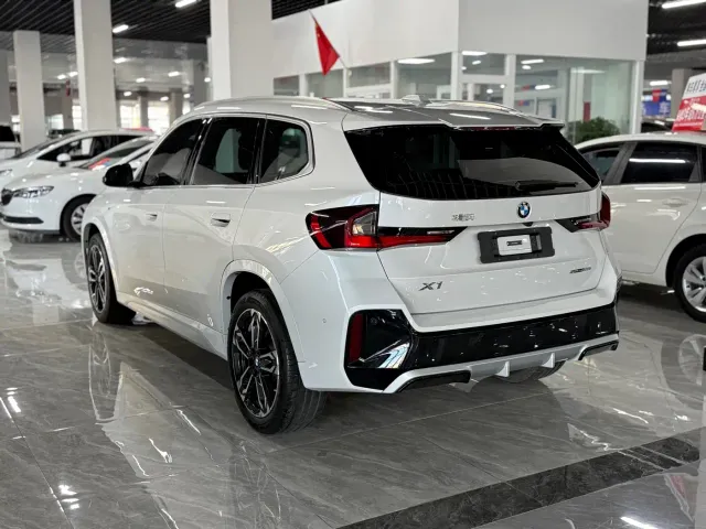 BMW X1 — Фото автомобиля 10